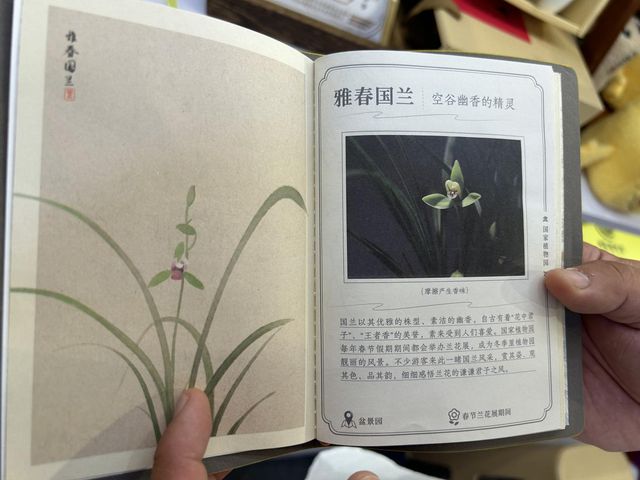 植物毛绒、四季护照……国家植物园通过文创用心做“科普”